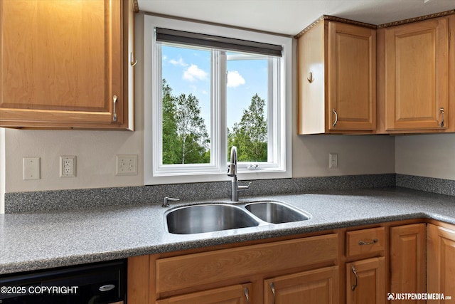18704 Snowy Plover Cir, Anchorage, AK 99516 - kitchen featuring a sink, black dishwasher, healthy amount of natural light, and dark countertops