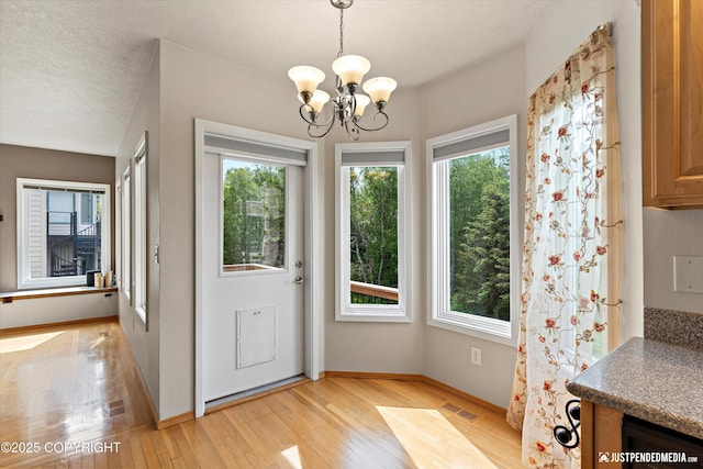 18704 Snowy Plover Cir, Anchorage, AK 99516 - unfurnished dining area with a chandelier, healthy amount of natural light, and light wood-type flooring