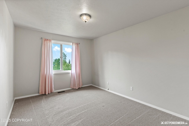 18704 Snowy Plover Cir, Anchorage, AK 99516 - spare room with baseboards and carpet flooring