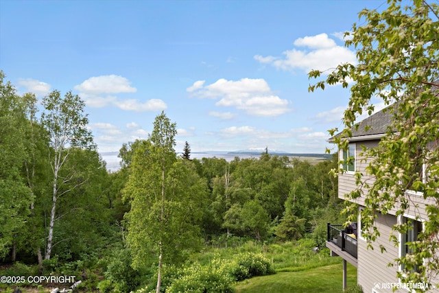 18704 Snowy Plover Cir, Anchorage, AK 99516 - view of yard with a wooded view
