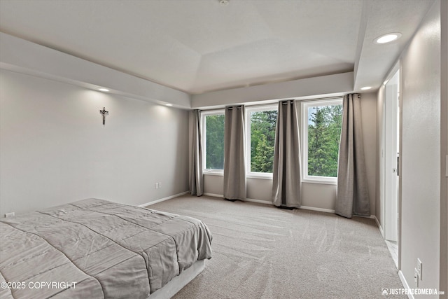 18704 Snowy Plover Cir, Anchorage, AK 99516 - carpeted bedroom featuring baseboards, recessed lighting, and a raised ceiling