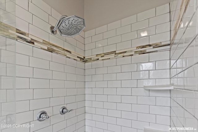 18704 Snowy Plover Cir, Anchorage, AK 99516 - full bath featuring a tile shower