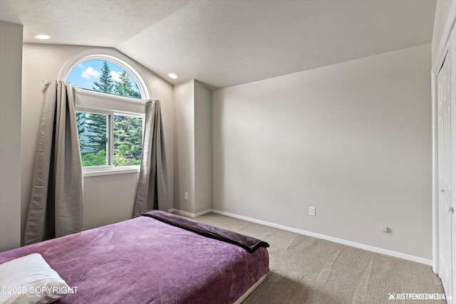 18704 Snowy Plover Cir, Anchorage, AK 99516 - bedroom featuring vaulted ceiling, carpet, baseboards, and a textured ceiling