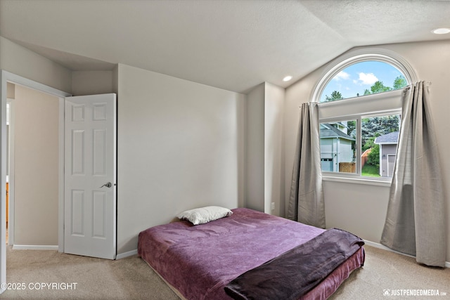 18704 Snowy Plover Cir, Anchorage, AK 99516 - carpeted bedroom featuring vaulted ceiling and baseboards