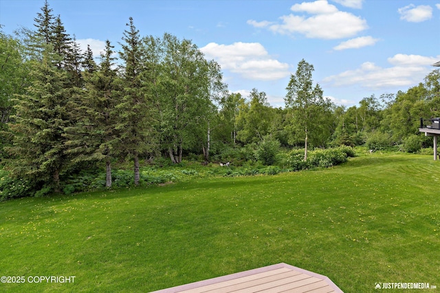 18704 Snowy Plover Cir, Anchorage, AK 99516 - view of green lawn
