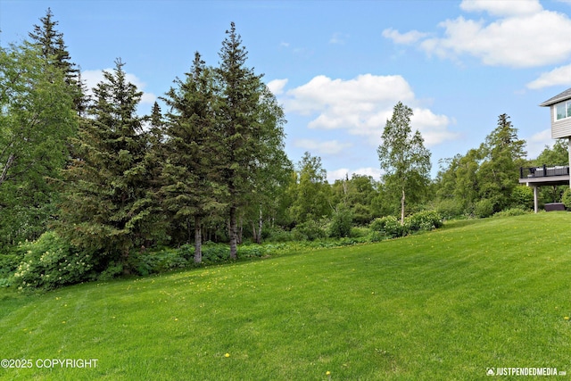 18704 Snowy Plover Cir, Anchorage, AK 99516 - view of grassy yard