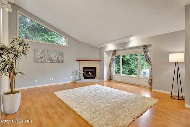 13521 Ebbtide Cir, Anchorage, AK 99516 - living area featuring rail lighting, a fireplace, light wood-style flooring, baseboards, and high vaulted ceiling