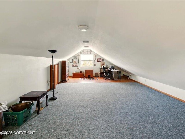 58820 E End Rd, Homer, AK 99603 - additional living space with lofted ceiling and carpet