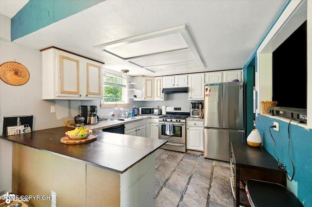 3470 W Wren St, Wasilla, AK 99623 - kitchen with stainless steel appliances, under cabinet range hood, a peninsula, light stone finish floors, and a textured ceiling