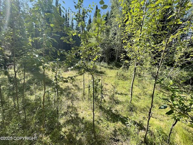 36745 Scotsman St, Sterling, AK 99672