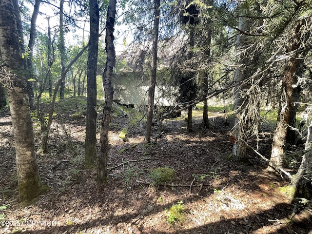 36745 Scotsman St, Sterling, AK 99672