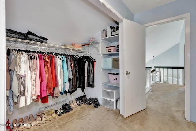 3370 Chaparral Cir, Anchorage, AK 99502 - spacious closet with carpet flooring, lofted ceiling, and a baseboard heating unit