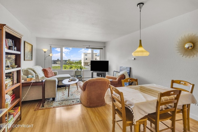 824 O Pl, Anchorage, AK 99501 - living area featuring light wood-style floors