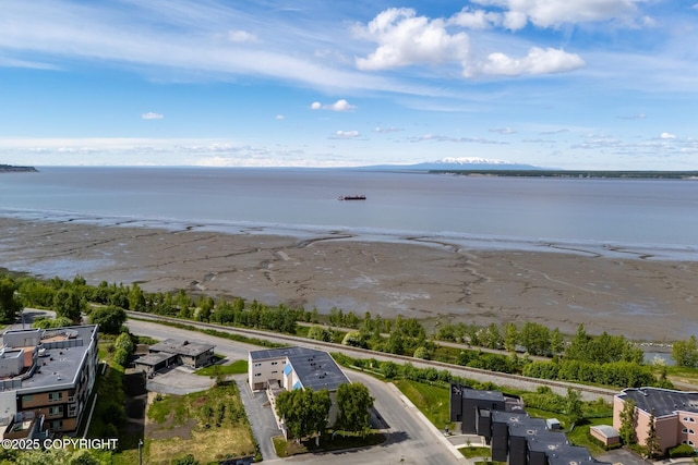 824 O Pl, Anchorage, AK 99501 - drone / aerial view of a large body of water