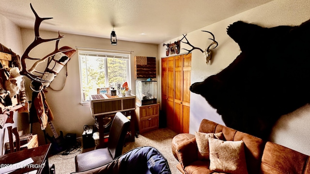 7191 S Yohn Bay Pl, Wasilla, AK 99623 - sitting room featuring carpet flooring