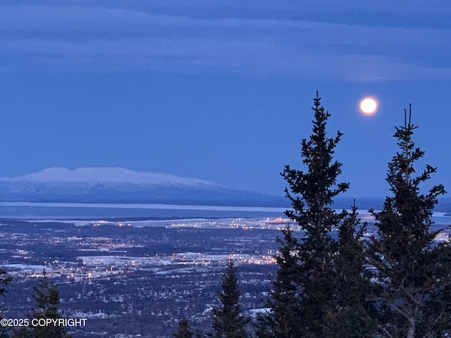 16971 Mount Mckinley View Dr, Anchorage, AK 99516 - water view