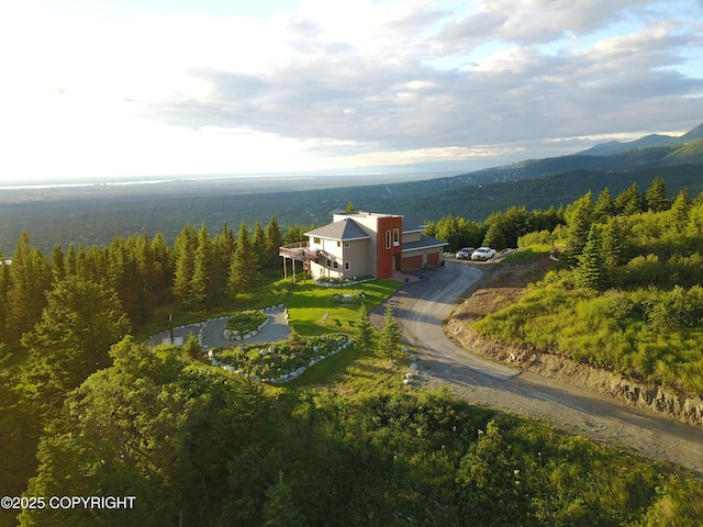 16971 Mount Mckinley View Dr, Anchorage, AK 99516 - view of subject property with a mountainous background and a heavily wooded area