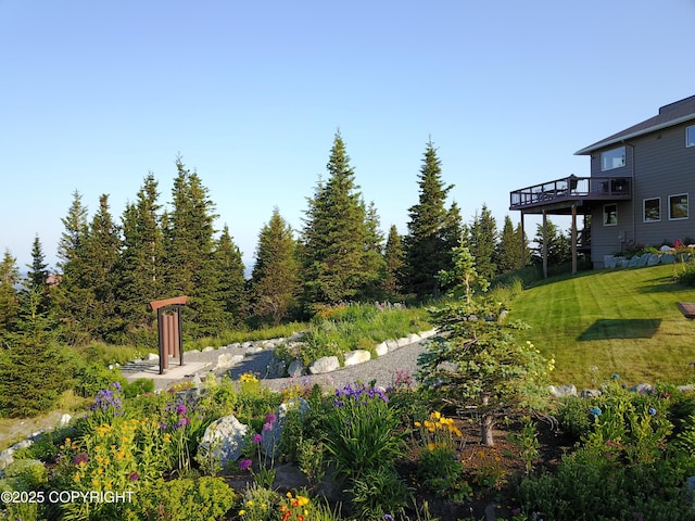 16971 Mount Mckinley View Dr, Anchorage, AK 99516 - view of green lawn with a deck