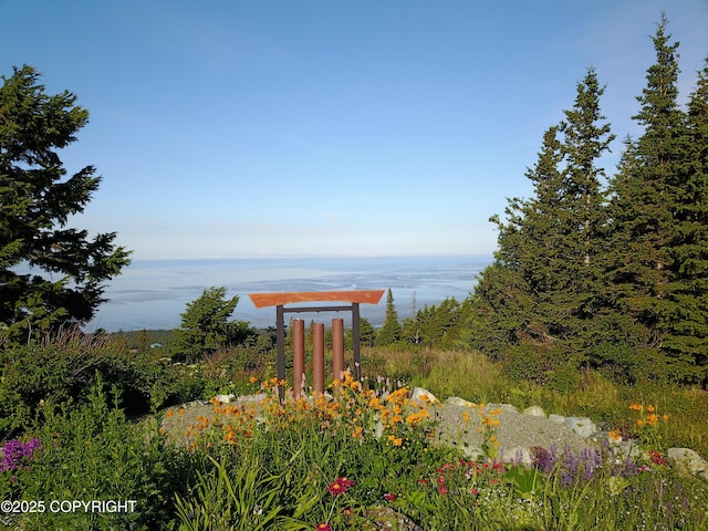 16971 Mount Mckinley View Dr, Anchorage, AK 99516 - water view