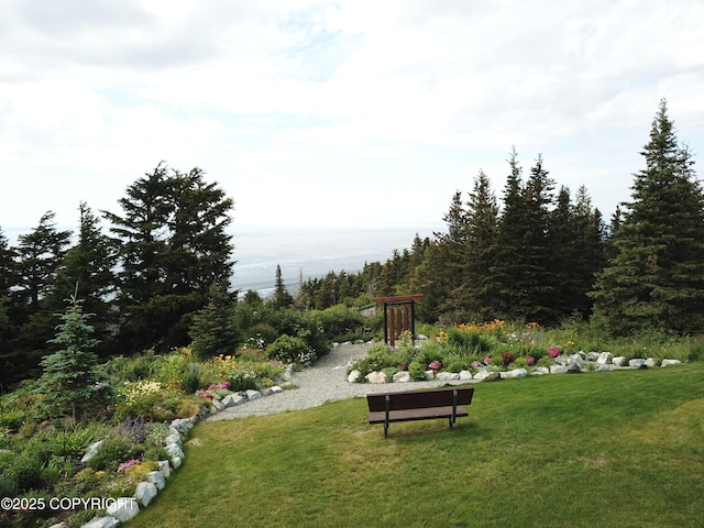 16971 Mount Mckinley View Dr, Anchorage, AK 99516 - view of home's community featuring a yard