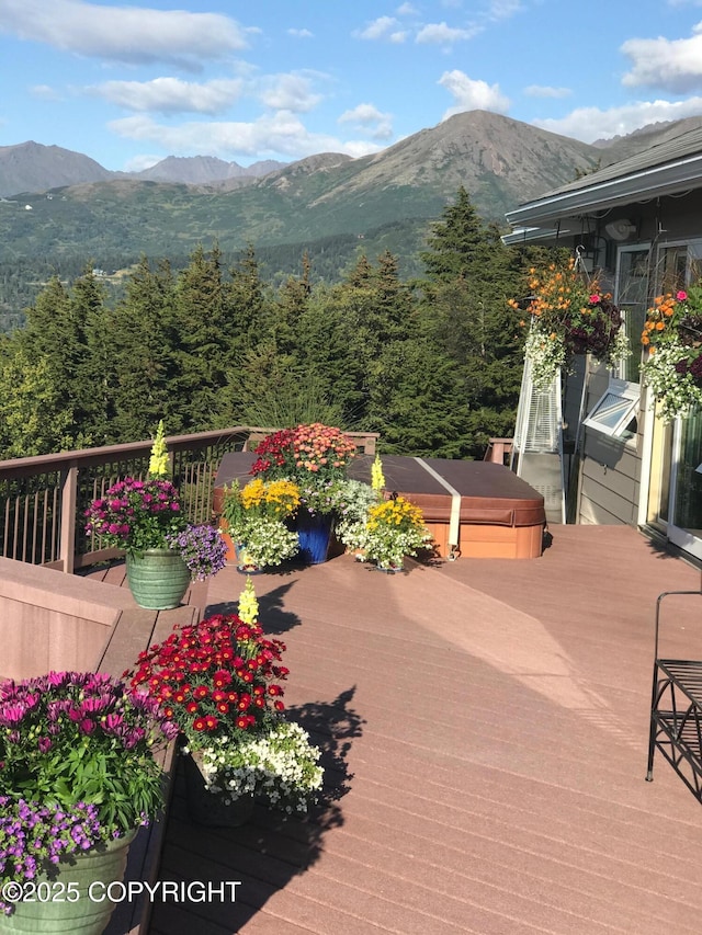 16971 Mount Mckinley View Dr, Anchorage, AK 99516 - view of mountain background