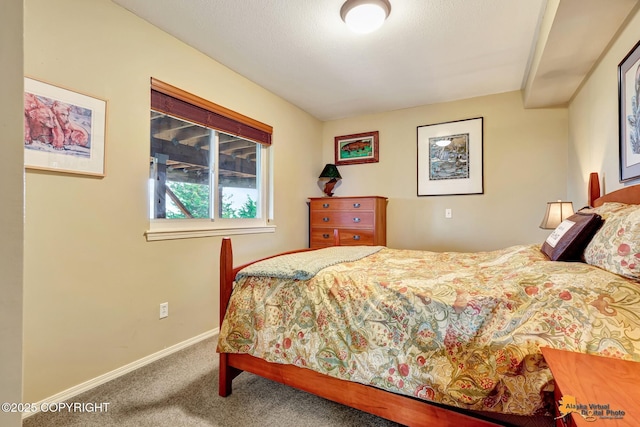 16971 Mount Mckinley View Dr, Anchorage, AK 99516 - bedroom featuring carpet flooring and baseboards