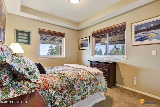 16971 Mount Mckinley View Dr, Anchorage, AK 99516 - bedroom with carpet floors, baseboards, and a tray ceiling