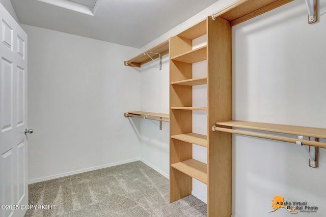 17480 Beaujolais Cir, Eagle River, AK 99577 - walk in closet with carpet floors