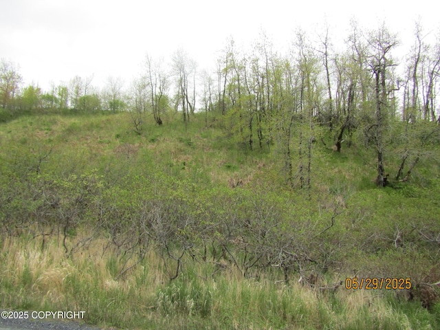 11400 Bells Flats Rd, Kodiak, AK 99615
