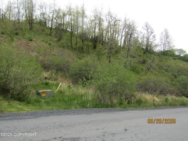 11400 Bells Flats Rd, Kodiak, AK 99615