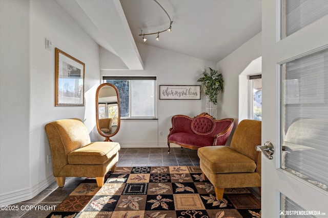 5322 S Big Lake Rd, Big Lake, AK 99652 - living area with lofted ceiling and baseboards
