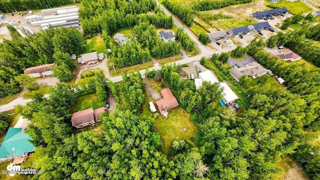 835 W Wilder Ave, Wasilla, AK 99654 - aerial view of property's location