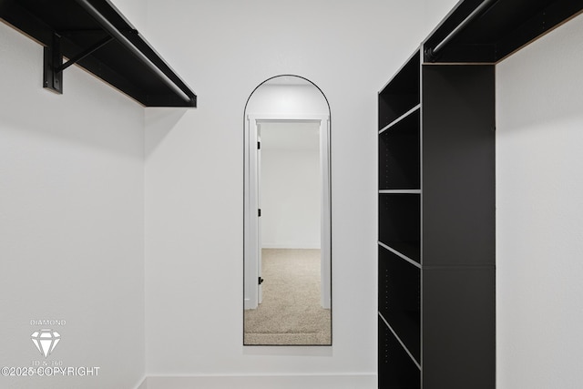 10108 Thimble Berry Dr, Anchorage, AK 99515 - view of walk in closet