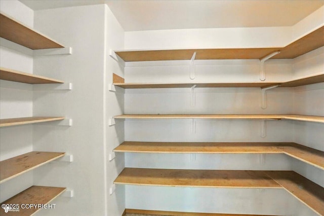 22030 Birch Creek Dr, Chugiak, AK 99567 - view of storage area