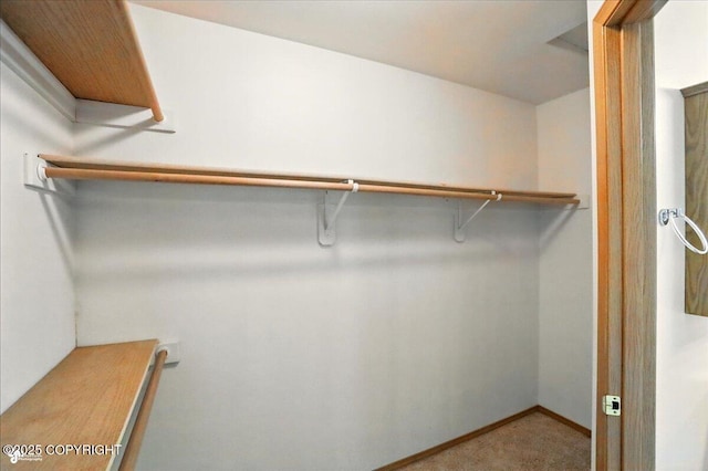 22030 Birch Creek Dr, Chugiak, AK 99567 - walk in closet with carpet