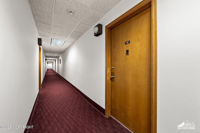 4109 Lynn Dr # 121, Anchorage, AK 99508 - hallway featuring carpet and a drop ceiling