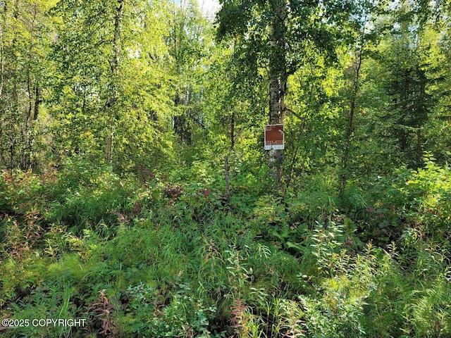 14500 N Susitna Landing Rd, Willow, AK 99688
