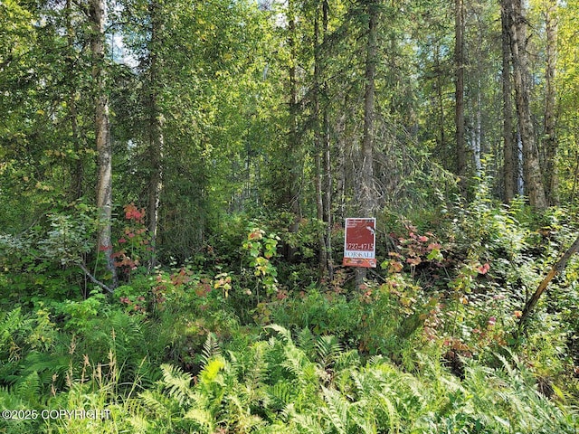 14500 N Susitna Landing Rd, Willow, AK 99688