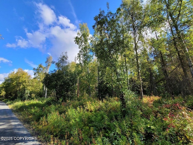 14500 N Susitna Landing Rd, Willow, AK 99688