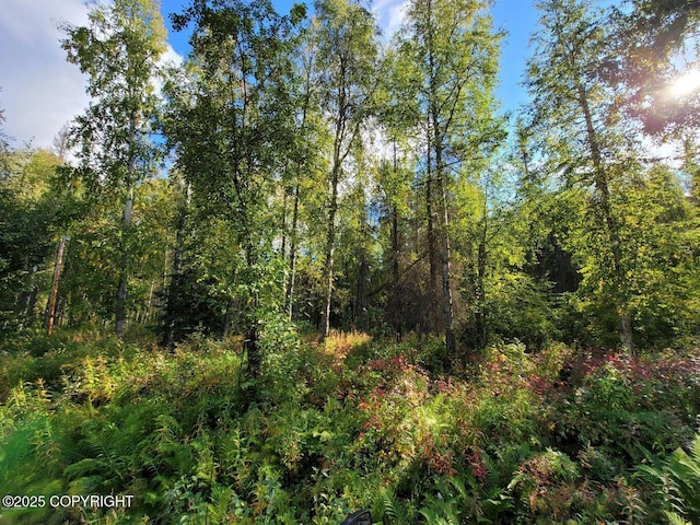 14500 N Susitna Landing Rd, Willow, AK 99688