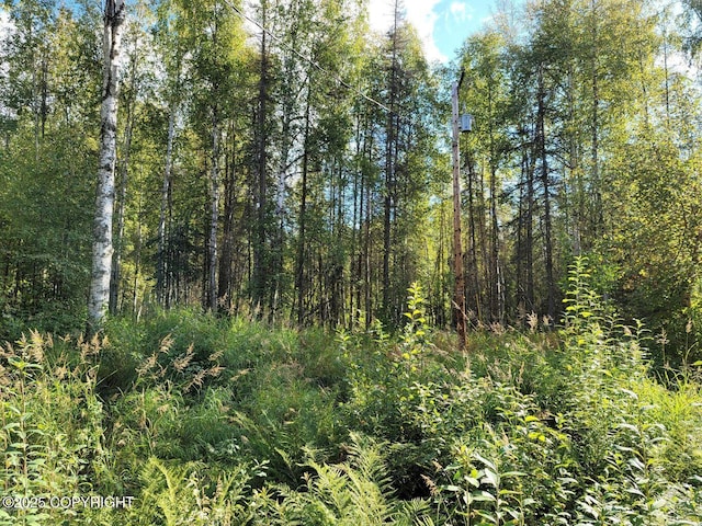14500 N Susitna Landing Rd, Willow, AK 99688
