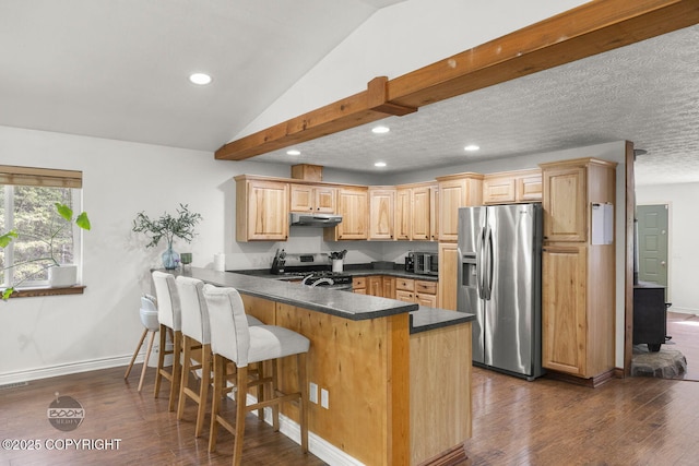 9845 E Lee Ann Dr, Palmer, AK 99645 - kitchen featuring appliances with stainless steel finishes, a peninsula, under cabinet range hood, dark countertops, and dark wood-style floors