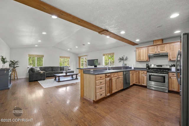 9845 E Lee Ann Dr, Palmer, AK 99645 - kitchen featuring stainless steel appliances, under cabinet range hood, a sink, a peninsula, and open floor plan