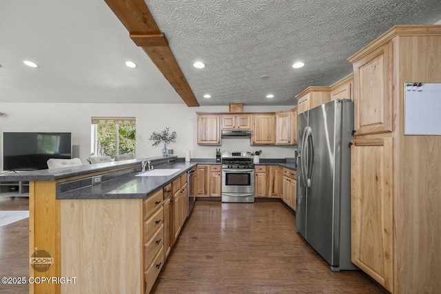 9845 E Lee Ann Dr, Palmer, AK 99645 - kitchen with appliances with stainless steel finishes, a sink, under cabinet range hood, light brown cabinetry, and dark countertops