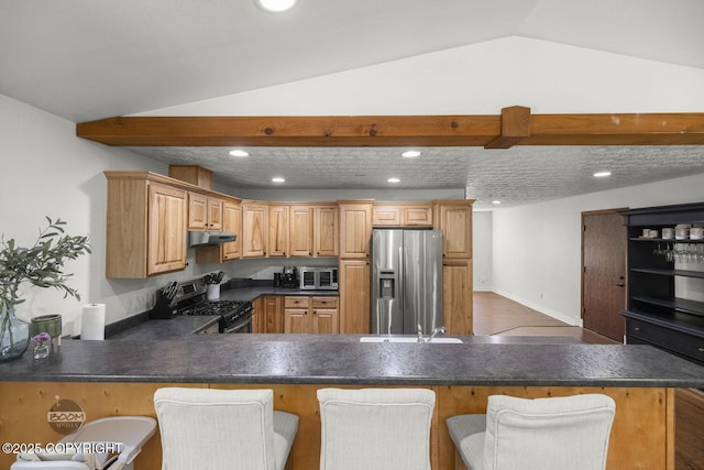 9845 E Lee Ann Dr, Palmer, AK 99645 - kitchen with stainless steel appliances, under cabinet range hood, dark countertops, recessed lighting, and lofted ceiling