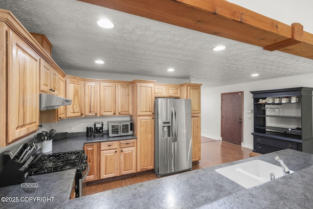 9845 E Lee Ann Dr, Palmer, AK 99645 - kitchen featuring appliances with stainless steel finishes, under cabinet range hood, a sink, dark wood-style floors, and dark countertops