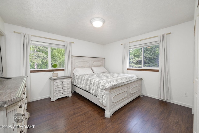 9845 E Lee Ann Dr, Palmer, AK 99645 - bedroom with dark wood-style floors, baseboards, and a textured ceiling