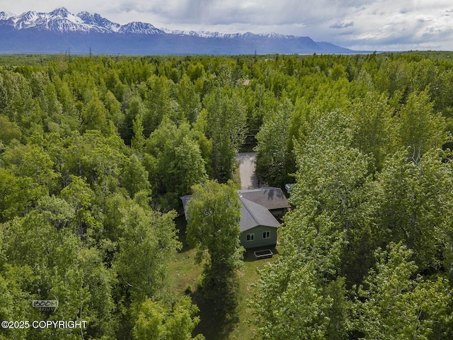 9845 E Lee Ann Dr, Palmer, AK 99645 - view of subject property featuring a forest and mountains