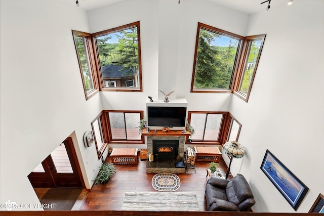 34952 Treeline Ave, Soldotna, AK 99669 - living area featuring healthy amount of natural light, hardwood / wood-style floors, a lit fireplace, and a towering ceiling