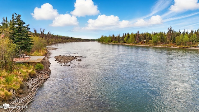 34952 Treeline Ave, Soldotna, AK 99669 - water view with a heavily wooded area